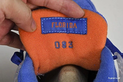 Hyperoad Jordan Air Gators
